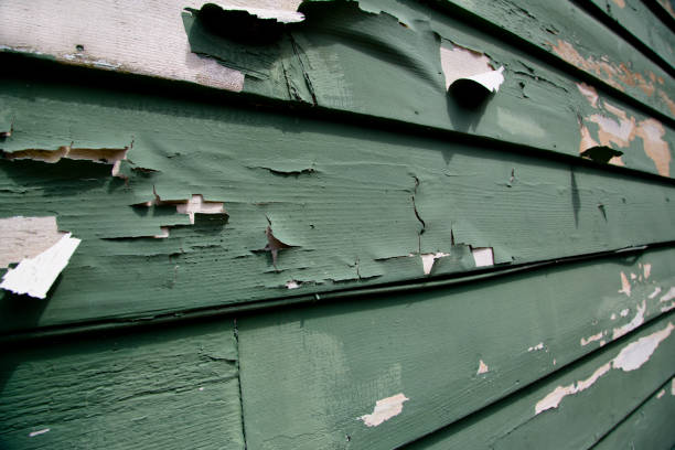 Best Shed Removal  in Curwensville, PA
